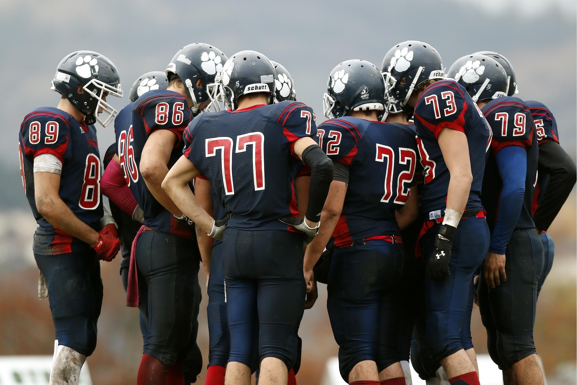 Constellations systémiques en collectif